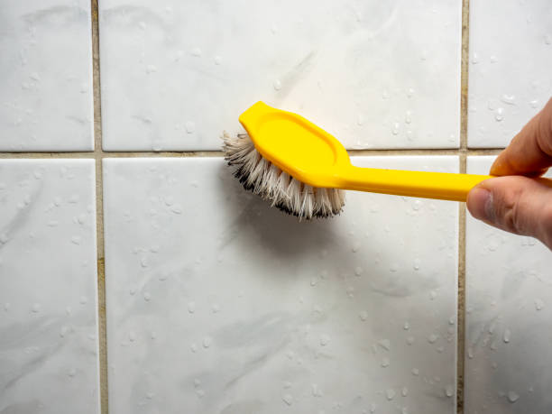 Best Office Mold Removal Services  in Cleora, OK