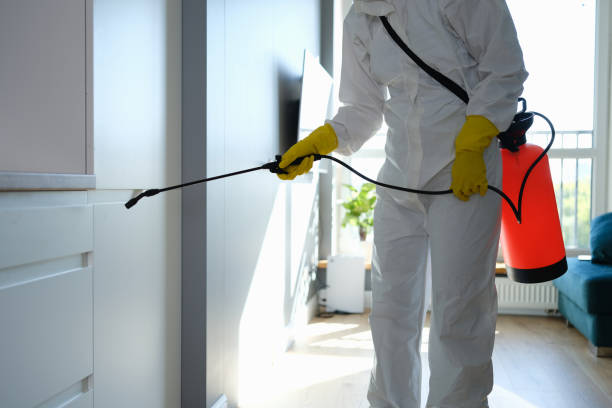 Best Professional Mold Removal  in Cleora, OK