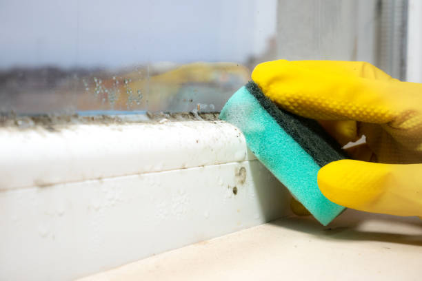 Cleora, OK Mold Removal Company