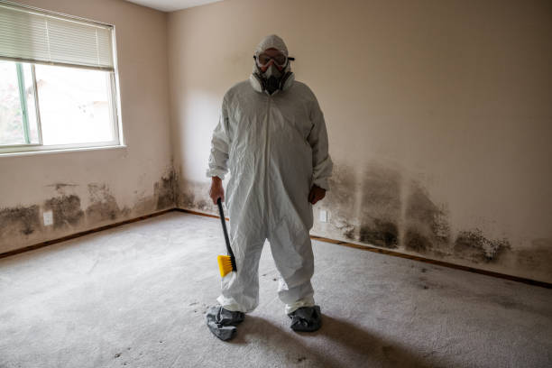 Best Mold Damage Repair  in Cleora, OK